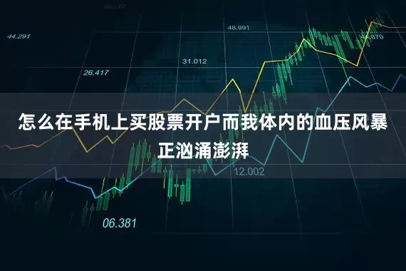 怎么在手机上买股票开户而我体内的血压风暴正汹涌澎湃