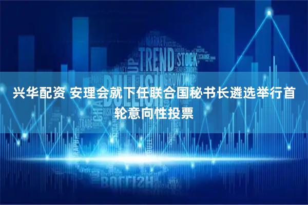 兴华配资 安理会就下任联合国秘书长遴选举行首轮意向性投票
